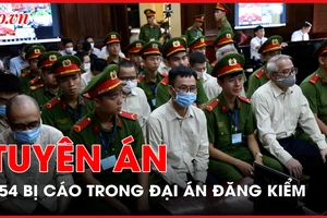 Hôm nay, tòa tuyên án với 254 bị cáo trong đại án đăng kiểm 