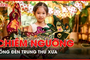 Người dân TP.HCM chiêm ngưỡng lồng đèn trung thu xưa 
