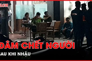 Lao vào ô tô đang đậu sau khi nhậu, đâm chết chủ xe
