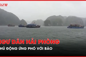 Ngư dân Hải Phòng chủ động ứng phó với bão