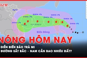 Nóng hôm nay: Diễn biến bão Trà Mi những giờ tới ra sao? Cần bao nhiêu đất để làm đường sắt cao tốc Bắc – Nam?