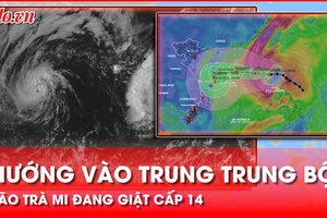 Bão Trà Mi ở trên vùng biển phía Đông Bắc quần đảo Hoàng Sa, đang hướng vào Trung Trung Bộ
