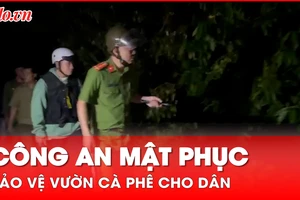 Không để nông dân tức tưởi khi vườn cà phê sắp thu hoạch bị trộm