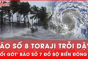 Nối gót ngay sau bão số 7, bão số 8 Toraji lại đổ bộ Biển Đông 