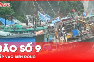 Bão MAN-YI di chuyển 'thần tốc', Biển Đông sắp có bão số 9