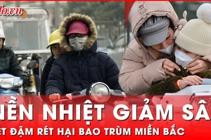 Miền Bắc chìm trong đợt rét đậm, rét hại nền nhiệt giảm sâu