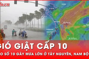 Bão số 10 giật cấp 10, Tây Nguyên, Nam Bộ mưa to, sóng biển cao đến 6m