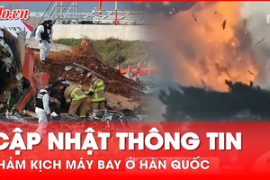 Thảm kịch máy bay ở Hàn Quốc: Cập nhật thông tin đến lúc này