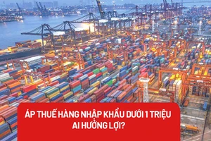 Đánh thuế với hàng nhập khẩu giá trị dưới 1 triệu đồng: Doanh nghiệp Việt nắm cơ hội?