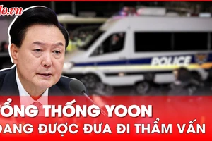 Video: Tổng thống Yoon chính thức bị bắt 
