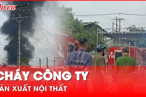 Video: Cháy công ty sản xuất nội thất ở Bình Dương