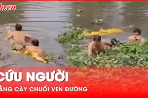 Video: Dùng cây chuối cứu người nhảy cầu