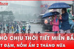 Miền Bắc đối mặt với rét buốt, hiện tượng nồm ẩm sẽ kéo dài 2 tháng liền