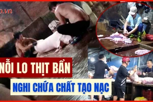 Video điều tra: Lo ngại nếu thịt heo nhiễm khuẩn, có chất tạo nạc