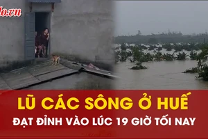 Dự báo lũ các sông ở Huế đạt đỉnh vào lúc 19 giờ tối nay