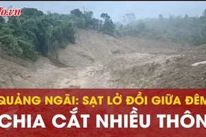 Sạt lở trong đêm ở Quảng Ngãi: Đất đá vùi lấp 3,5 ha hoa màu, nứt gãy đường giao thông