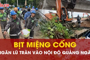 Video: Dùng bao cát bịt miệng cống, ngăn lũ tràn vào trung tâm Quảng Ngãi
