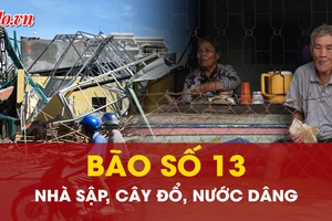 TRỰC TIẾP: Nhà sập, cây đổ, gia tài trôi theo bão số 13