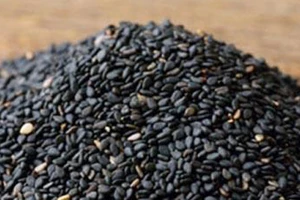 Thực hư việc mè đen bị nhuộm bằng lõi pin ở Phú Yên