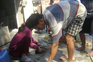 Tôm hùm chết hàng loạt, thiệt hại hơn 9 tỉ đồng