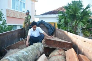 Xã bắt gỗ, trạm bảo vệ rừng đến nhận 