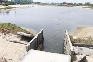 Vi phạm môi trường, công ty đường bị phạt 3 tỉ đồng