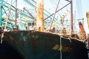 Thủ tướng chỉ đạo điều tra vụ tàu vỏ thép hỏng