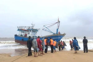 Tìm thấy 4 thi thể nghi thuyền viên mất tích