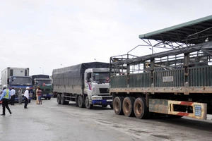 Trạm BOT Ninh An ùn tắc vì lái xe dùng tiền lẻ