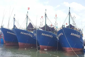 Nam Triệu sẽ 'xem xét đền bù hợp lý cho ngư dân'