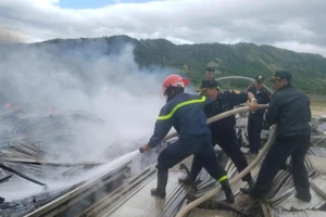 Cháy ở dự án điện mặt trời TP Cam Ranh