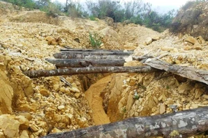 2 phóng viên báo Khánh Hòa bị tấn công khi tác nghiệp