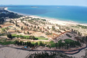 Phú Yên ra 'tối hậu thư' với dự án phá rừng làm sân golf