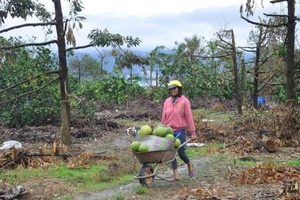 Bắt giam cán bộ xã ăn chặn tiền khắc phục bão của dân