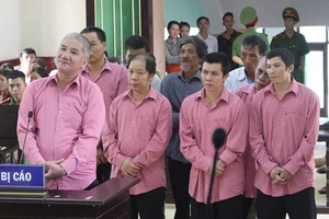 Tuyên án vụ phá rừng lớn nhất tỉnh Bình Định