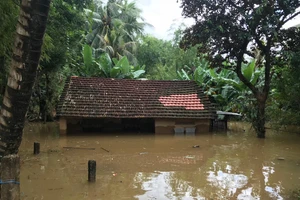 3 người chết do mưa lũ ở Bình Định