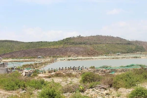 Cách hết chức vụ bí thư xã tiếp tay gom đất đặc khu