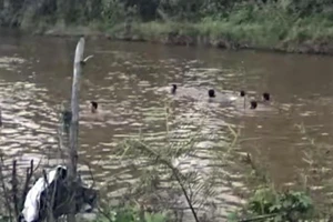 4 học sinh chết đuối thương tâm 