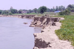 Bình Định yêu cầu DN hút cát gây sạt lở bồi thường cho dân