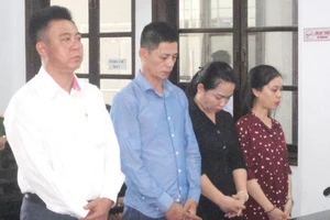 12 luật sư bào chữa cho tổng giám đốc chứa mại dâm