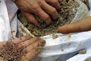 Công ty Phân bón Nông Thuận Phát bị đình chỉ hoạt động