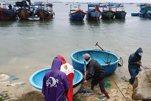 Gió bắt đầu quật dữ dội ở Phú Yên 