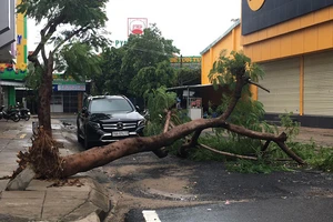 Sóng biển ập lên đường phố, đánh sập kè ở Phú Yên