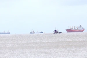 Tạm cách ly bờ 5 tàu biển Trung Quốc