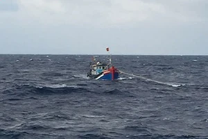 Một chủ tàu cá bị phạt đến 900 triệu đồng