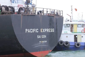 Tìm thấy tàu hàng tông chìm tàu cá, bỏ mặc ngư dân bị nạn