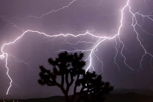 Trú mưa dưới gốc cây, 3 phụ nữ bị sét đánh tử vong