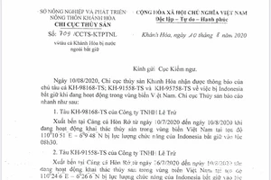 3 tàu cá bị Indonesia bắt giữ khi hoạt động vùng biển Việt Nam