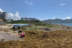 Khánh Hòa ra 'tối hậu thư' cho dự án Nha Trang Sao