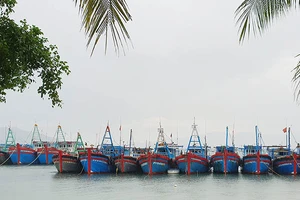 Các tỉnh Nam Trung Bộ khẩn cấp ứng phó với đợt mưa lớn